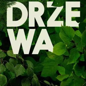 Cztery strony drzewa