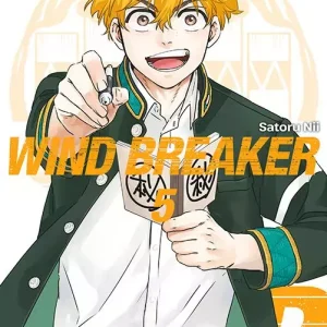 Wind Breaker. Tom 5