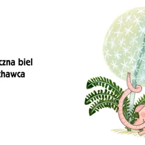 Pomelo i kolory