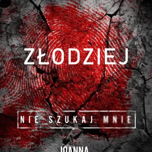 Złodziej. Nie szukaj mnie. Tom 1