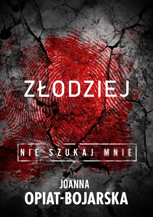 Złodziej. Nie szukaj mnie. Tom 1