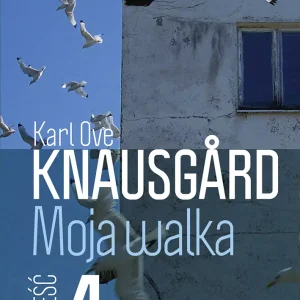Moja walka. Powieść 4