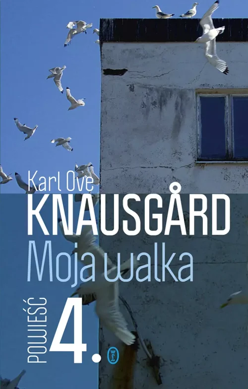 Moja walka. Powieść 4