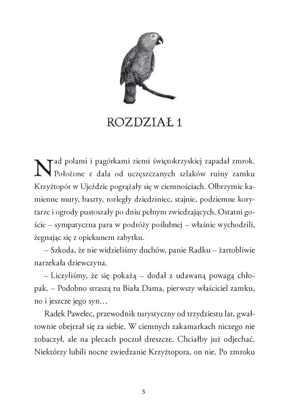 Wakacje z Koszmarkiem. Tom 3. Tunel w zaświaty