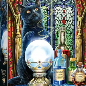 Puzzle 1000 elementów. Premium Plus. Magic Collection. Uczeń Czarownicy