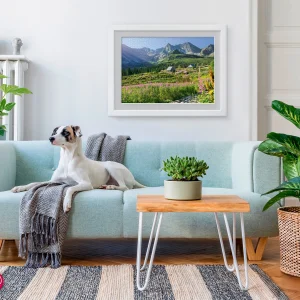 14d9bc-puzzle-1000-elementow.webp Puzzle 1000 elementów. Hala Gąsienicowa w Tatrach 30059