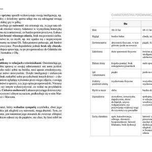 Pajączek na rowerze (wydanie z opracowaniem i streszczeniem)
