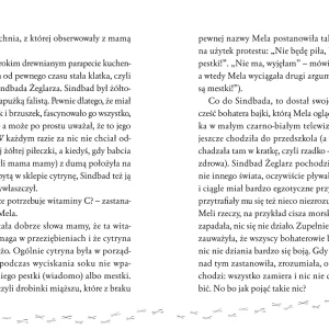 1cbbf-o-meli-radiu-z-pieca-i.webp O Meli, radiu z pieca i rudym jamniku, który robi, co chce