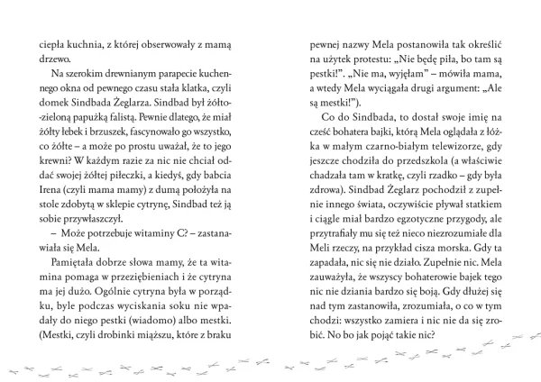 1cbbf-o-meli-radiu-z-pieca-i.webp O Meli, radiu z pieca i rudym jamniku, który robi, co chce