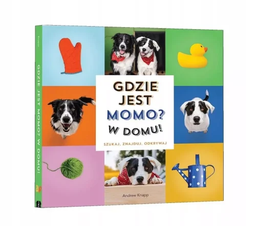 Gdzie jest Momo W domu