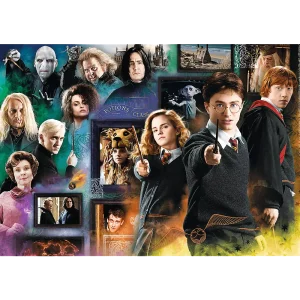 Puzzle 1000 elementów. Harry Potter. Świat czarodziejów