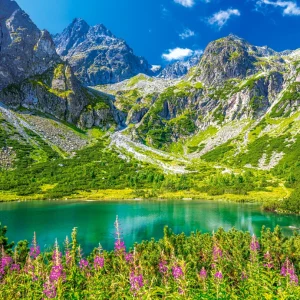 Puzzle 1000 elementów. Zelene Pleso, Tatry, Słowacja
