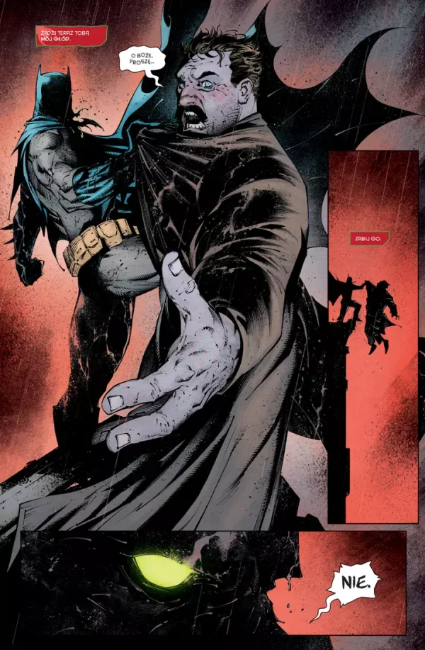Batman: Detective Comics. Tom 2. Stan strachu