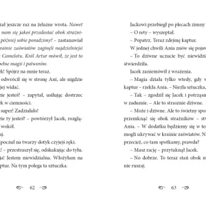 Magiczny domek na drzewie. Misje Merlina. Święta w Camelocie