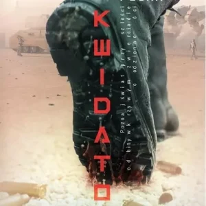 Likwidator