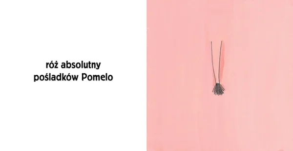 Pomelo i kolory