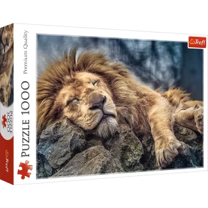 Puzzle 1000 elementów. Śpiący lew