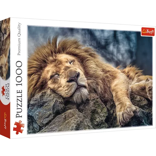 Puzzle 1000 elementów. Śpiący lew