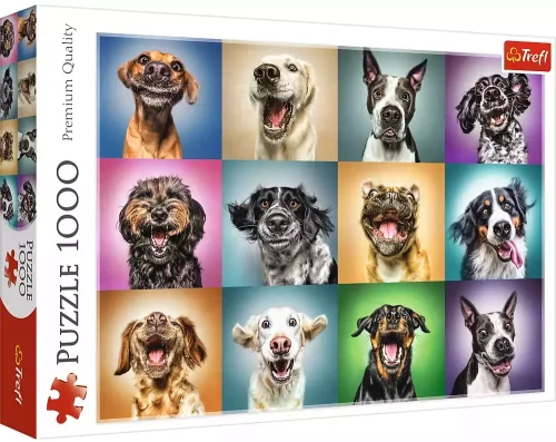 Puzzle 1000 elementów. Zabawne psie portrety