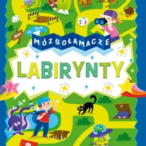 Mózgołamacze. Labirynty