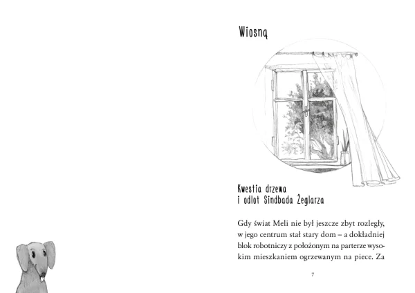 39ffc-o-meli-radiu-z-pieca-i.webp O Meli, radiu z pieca i rudym jamniku, który robi, co chce