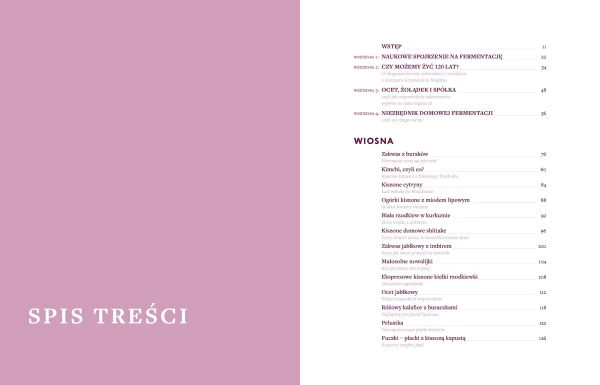 Ale ferment! Kiszonki, zakwasy i przepisy na dania wspierające twój mikrobiom