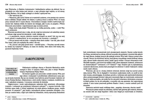 Historia żółtej ciżemki (wydanie z opracowaniem i streszczeniem)