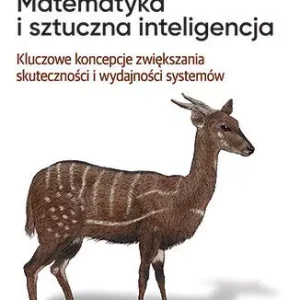 Matematyka i sztuczna inteligencja. Kluczowe koncepcje zwiększania skuteczności i wydajności systemó