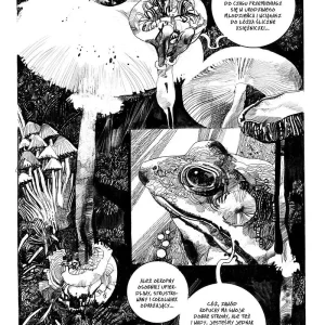 Toppi Kolekcja | Zaczarowany świat | Tom 1 dzieł Sergia Toppiego