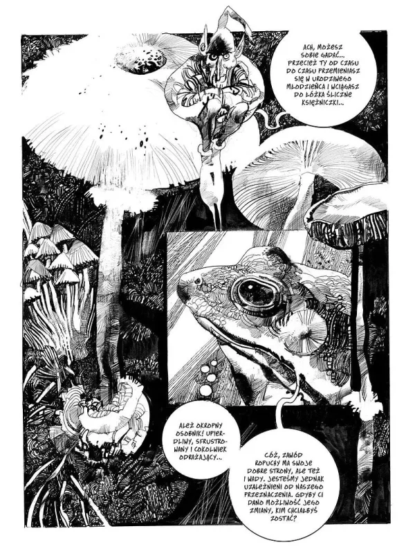 Toppi Kolekcja | Zaczarowany świat | Tom 1 dzieł Sergia Toppiego