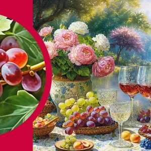 Puzzle 1000 elementów. Splendor winogron 30950