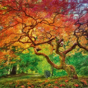 Puzzle 1000 elementów. Kolorowy las 30530