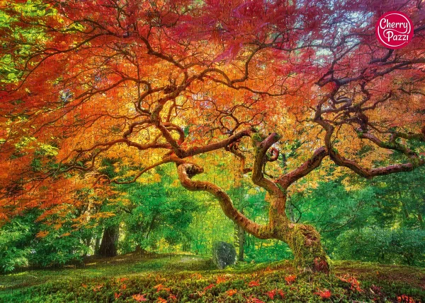 Puzzle 1000 elementów. Kolorowy las 30530
