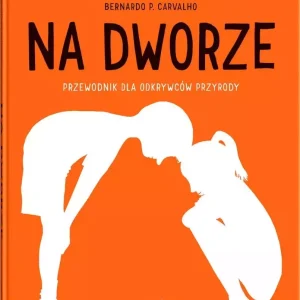 Na dworze