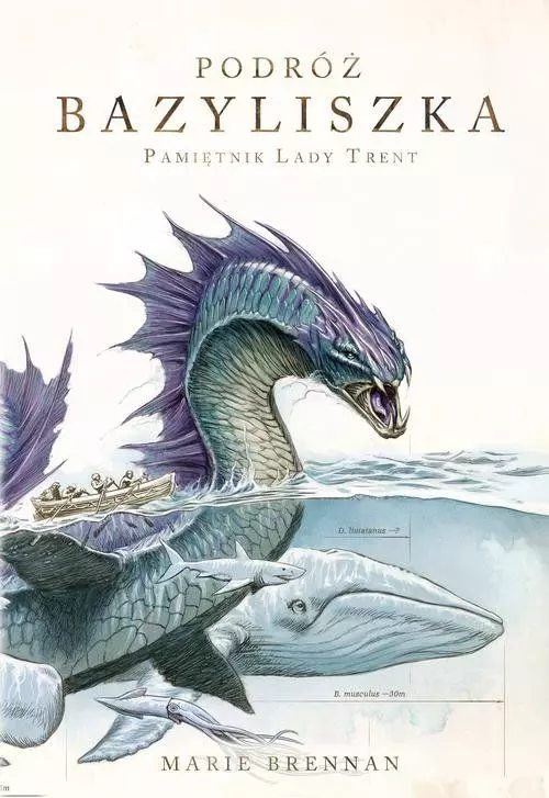 4a51684-podroz-bazyliszka-ma.webp Podróż Bazyliszka