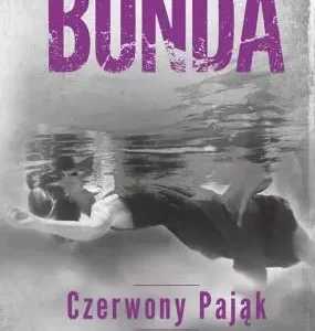 Cztery żywioły. Tom 4. Czerwony pająk