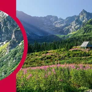 51c3a9-puzzle-1000-elementow.webp Puzzle 1000 elementów. Hala Gąsienicowa w Tatrach 30059