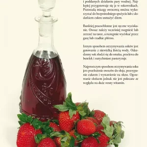 Wielka księga siostry Anastazji