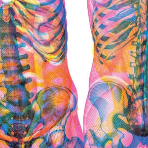 Gabinet anatomii