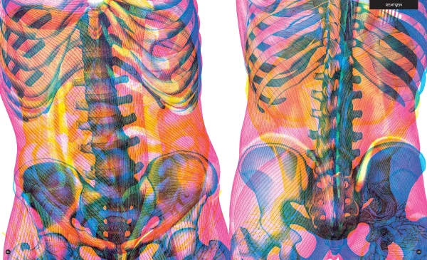Gabinet anatomii