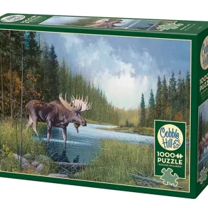 Puzzle 1000 Spacer nad rzeką G3