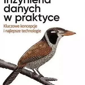Inżynieria danych w praktyce
