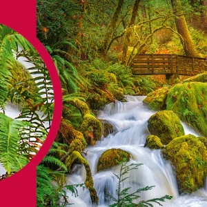 Puzzle 1000 elementów. Jedwabiście gładki 30615