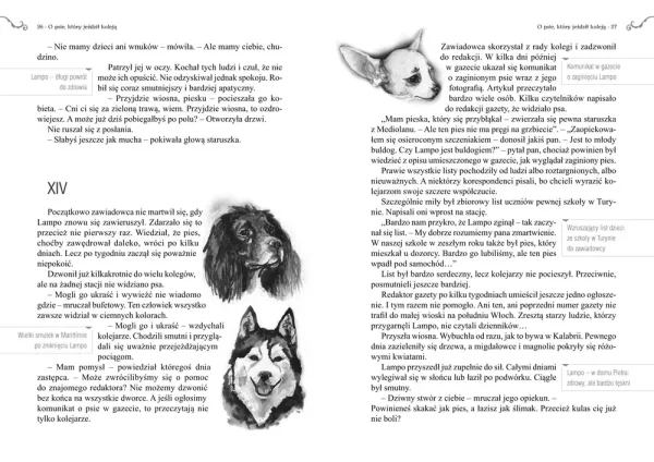 O psie, który jeździł koleją (wydanie z opracowaniem i streszczeniem)