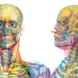 Gabinet anatomii