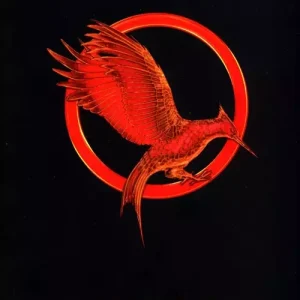 The Hunger Games 2 Catching Fire