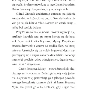 Zrostek