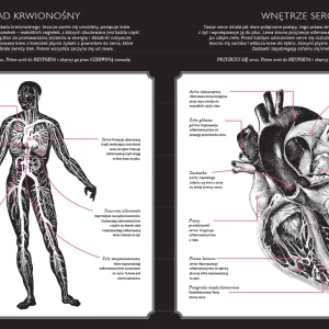 Gabinet anatomii