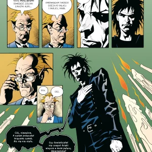 Sandman. Tom 9. Panie łaskawe