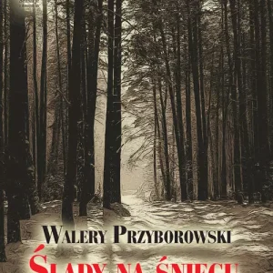 Ślady na śniegu